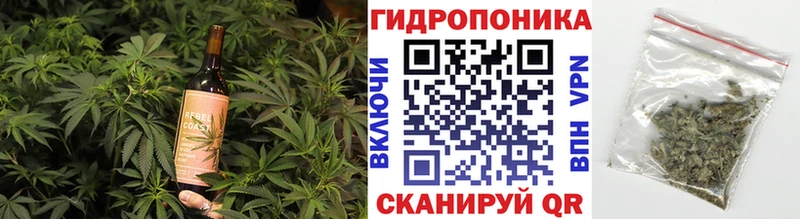 где продают   Нолинск  omg зеркало  Canna-Cookies конопля 