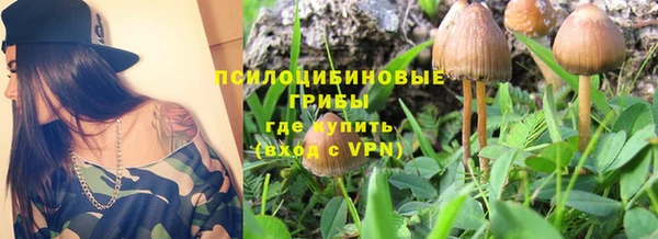 хмурый Михайлов